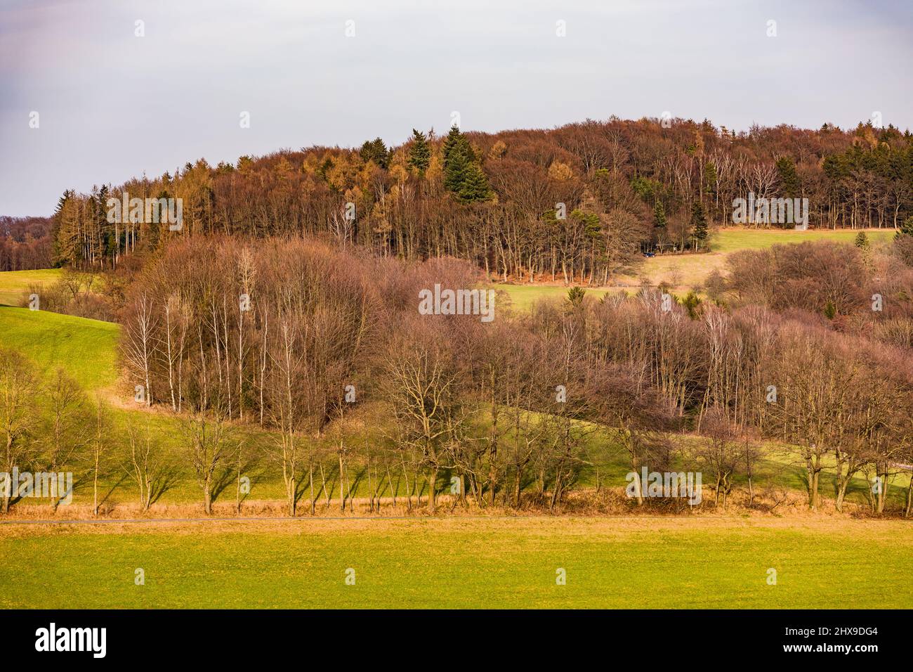 Paesaggio rurale con campi, alberi, boschi e cespugli nel sole d'inverno Foto Stock