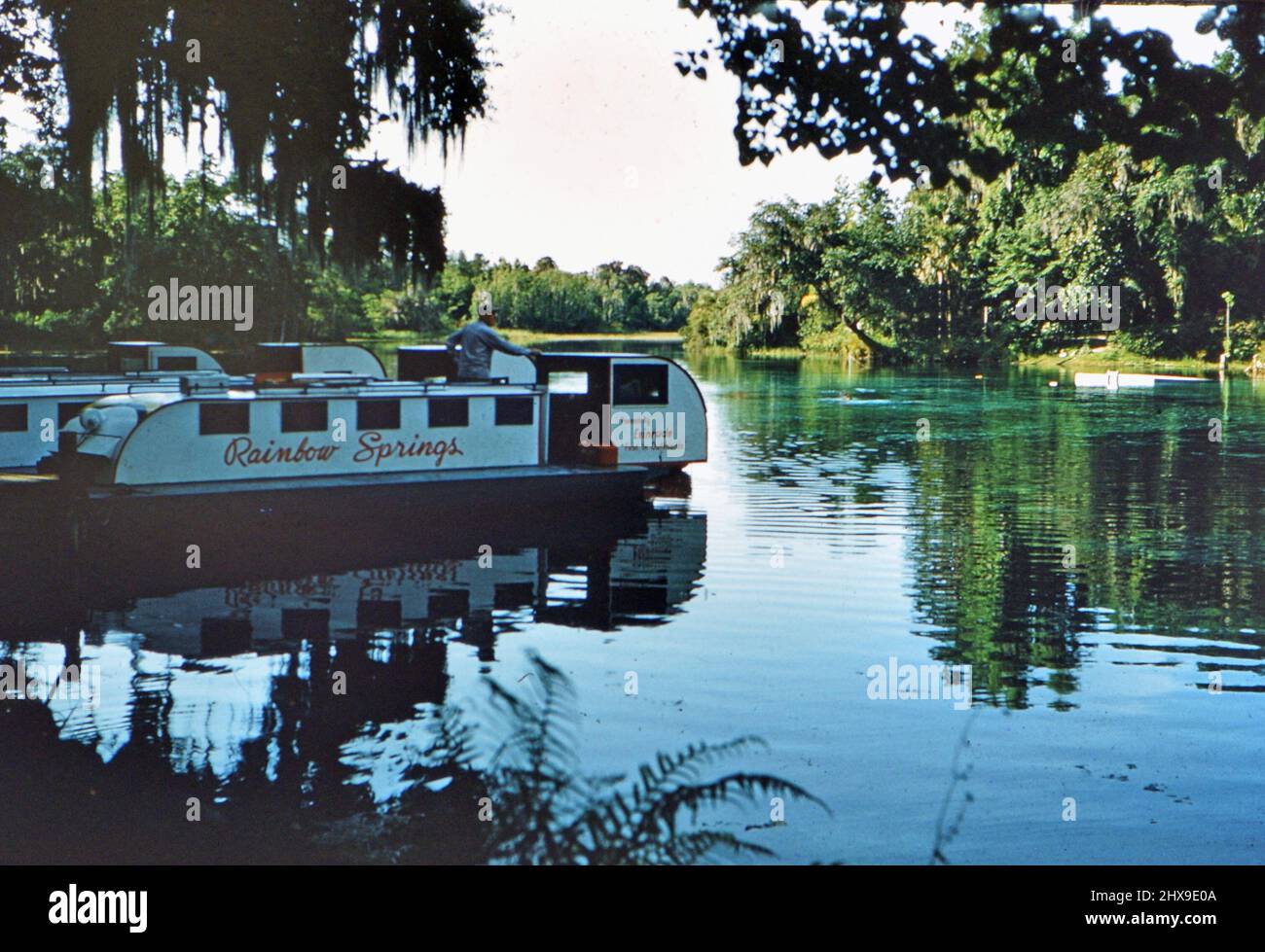 Rainbow Springs Park barca turistica a Marion County Florida ca. 1950s Foto Stock