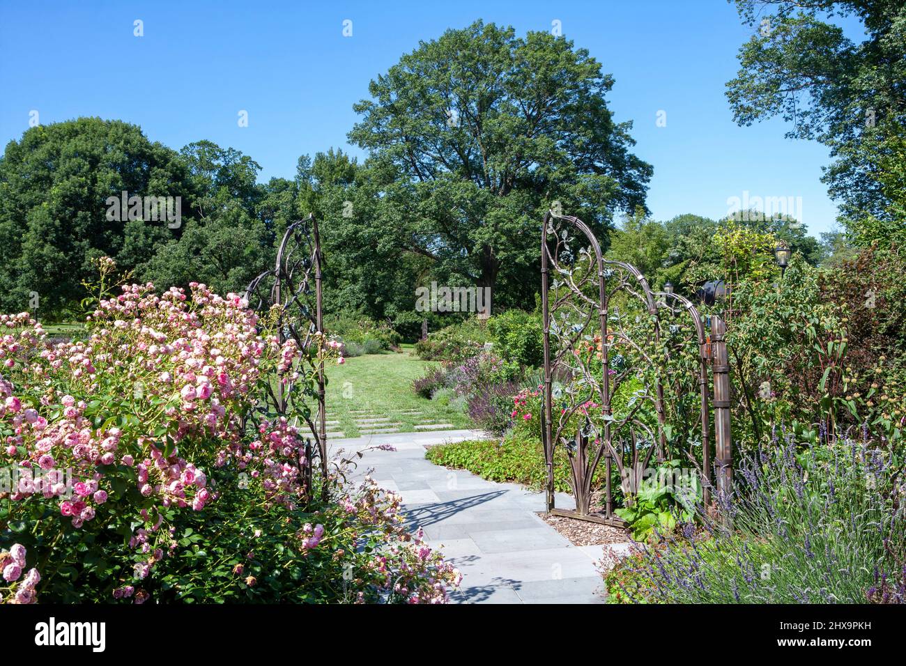 Ingresso, Giardino delle Rose di Dean Bond, Arboreto Scott, Swarthmore College, Swarthmore, Pennsylvania, USA Foto Stock