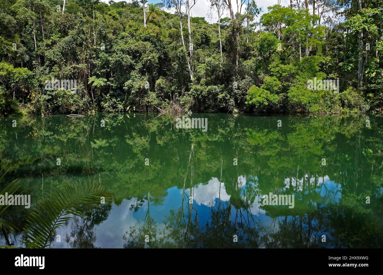 Foresta pluviale tropicale e lago a Minas Gerais, Brasile Foto Stock