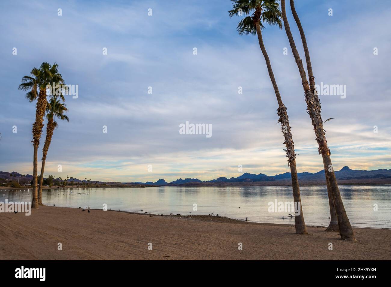 Una vista mozzafiato sul lago Havasu, Arizona Foto Stock