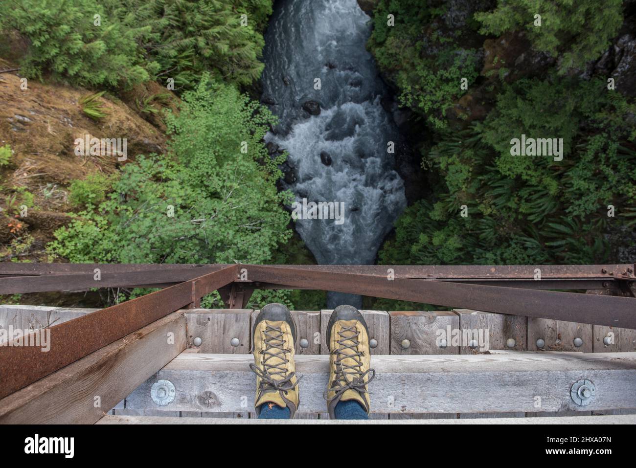 Guardando giù da un ponte sul sentiero del fiume Hoh Foto Stock