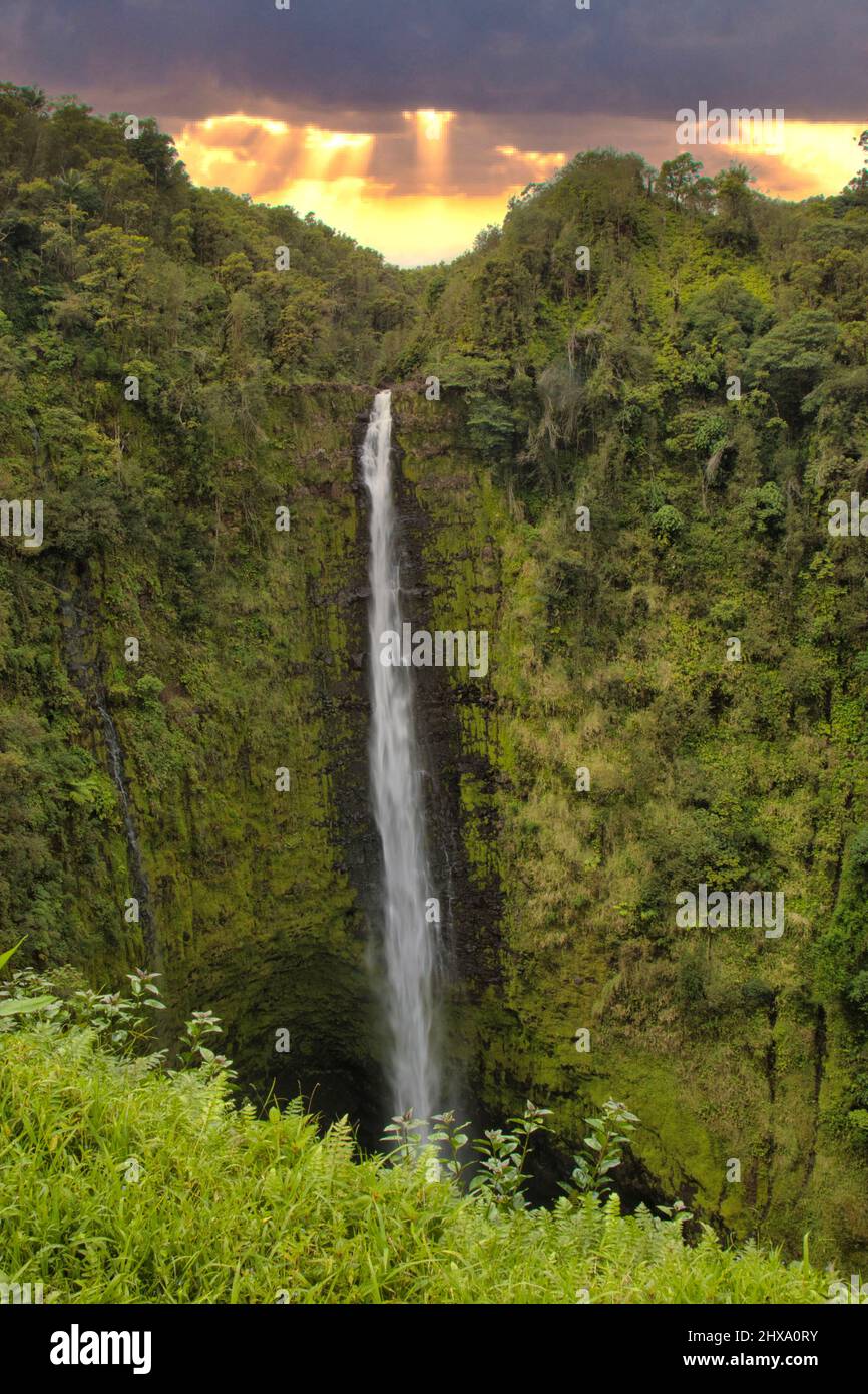 Tramonto alla cascata di Akaka sulla grande isola. Foto Stock