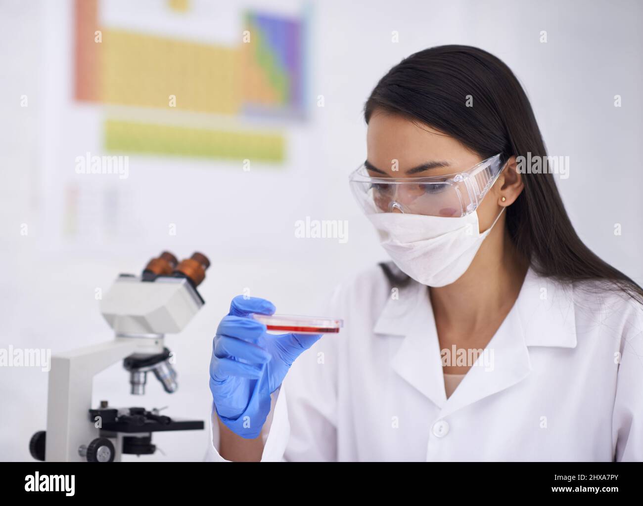 Osservare la crescita di una cultura biologica. Scatto corto di una scienziata femminile che osserva la cultura in un piatto. Foto Stock