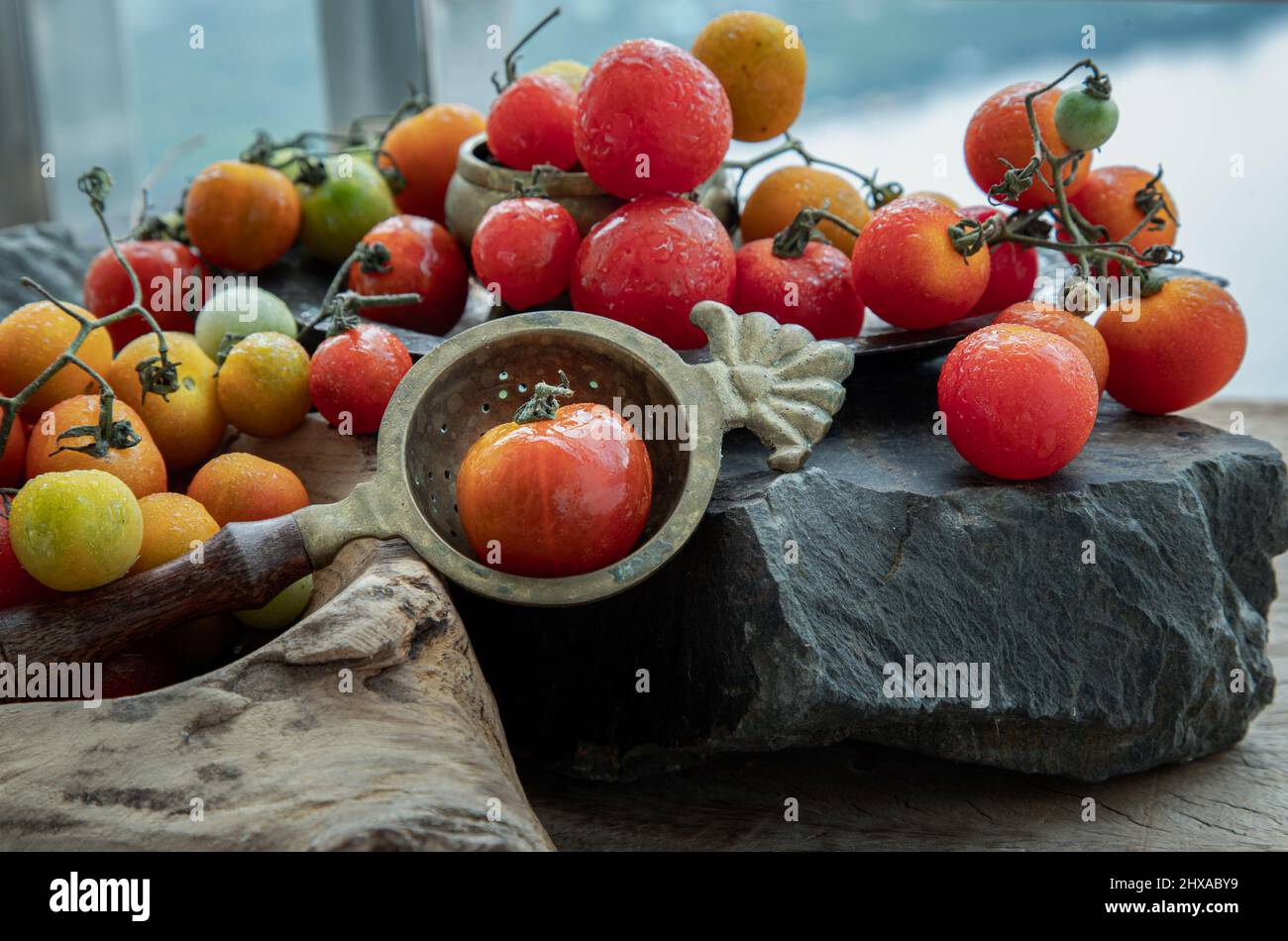 Gruppo di variegata varietà di pomodori freschi (Mini Cherry Tomatos) su vecchio sfondo di legno tavola. Messa a fuoco selettiva. Foto Stock