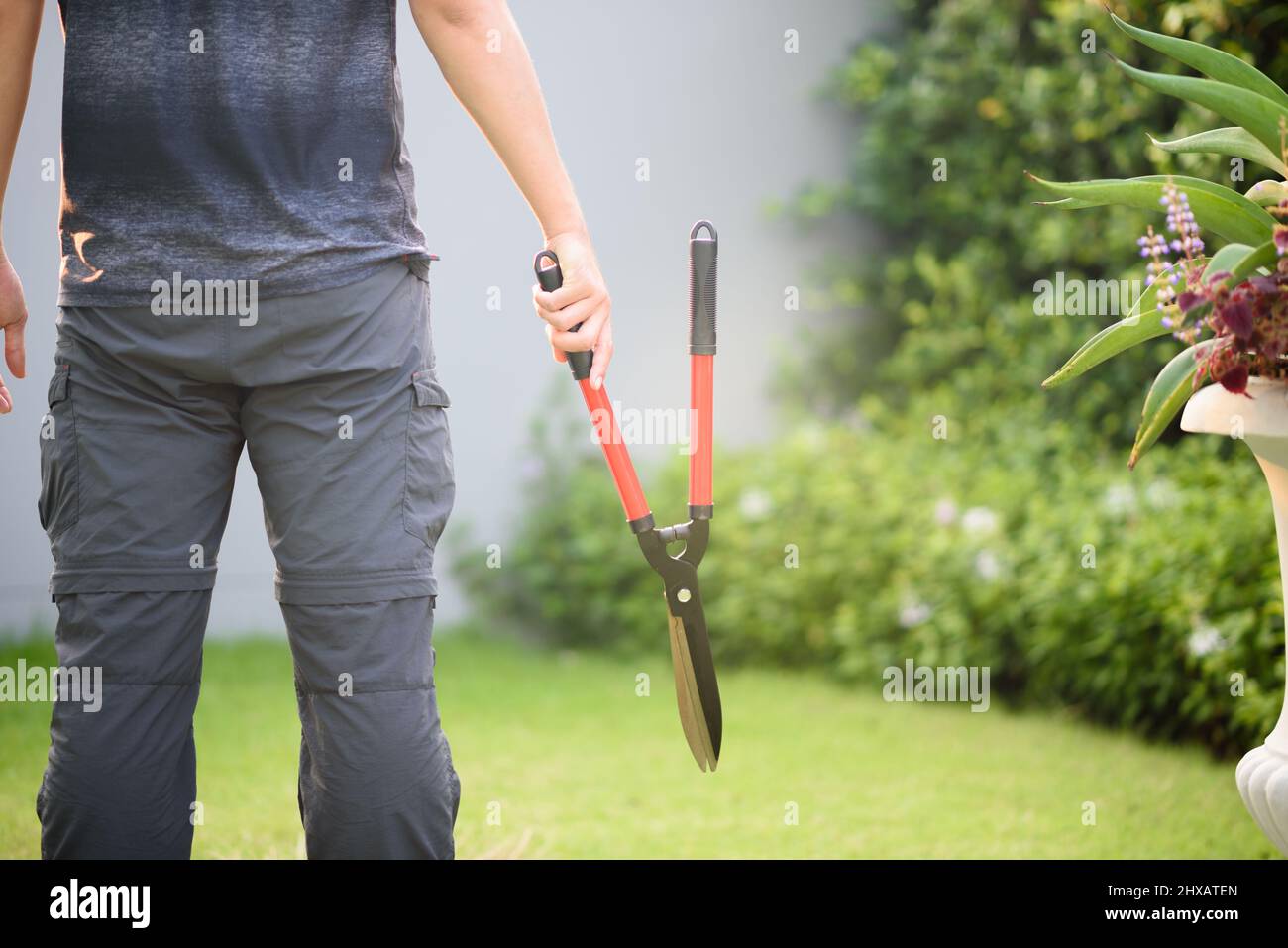 Vista posteriore di un professionista giardiniere che tiene forbici di taglio del prato nel giardino. Foto Stock