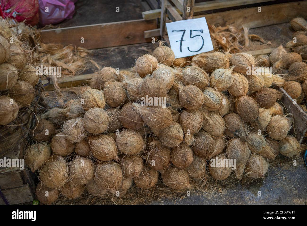 Cocco in vendita presso le bancarelle di frutta sul mercato Kandy in Sri Lanka Foto Stock