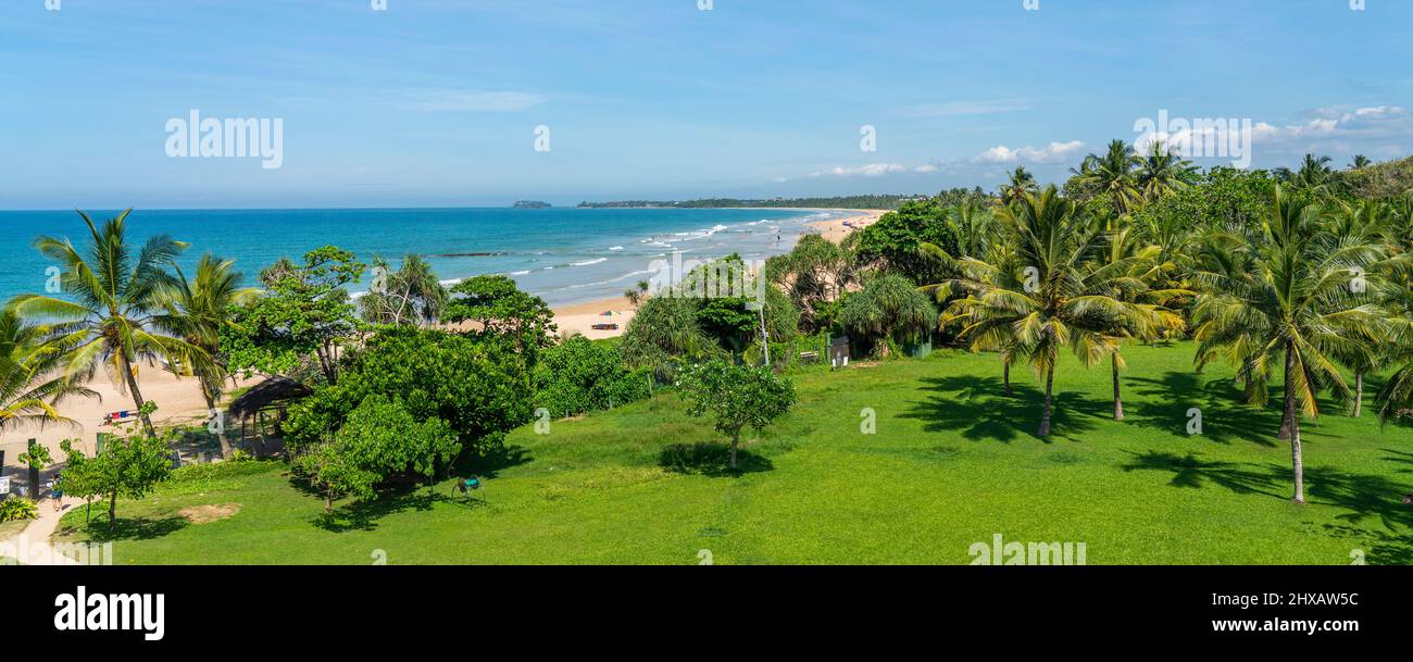 Vista panoramica sulla spiaggia con palme, Oceano Indiano a Bentota, Sri Lanka Foto Stock