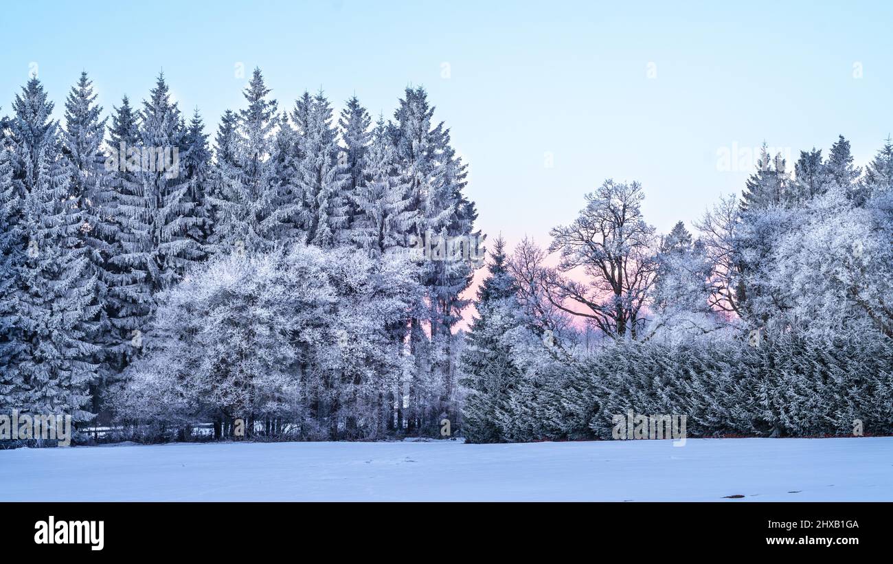 Inverno a Schöneck, Frost am Morgen am Skilift Foto Stock