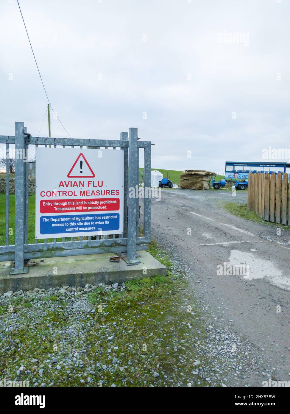 BALLYSHANNON , CONTEA DI DONEGAL, IRLANDA : segnale di avvertimento dell'influenza aviaria. Foto Stock BALLYSHANNON , CONTEA DI DONEGAL, IRLANDA : segnale di avvertimento dell'influenza aviaria. Foto Stock