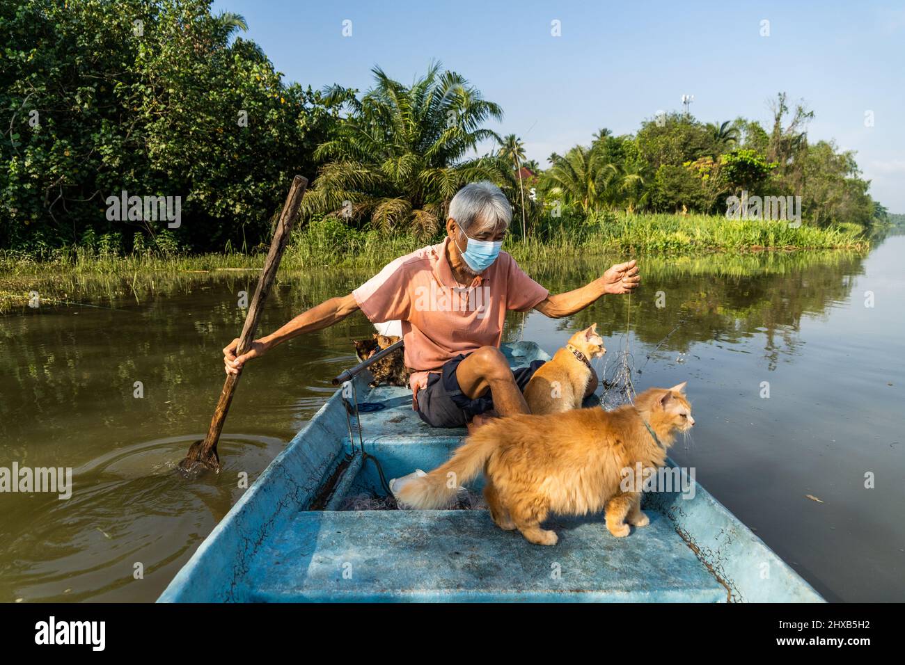 Surat Thani, Tailandia. 12th Mar 2022. Un pescatore ed i suoi gatti di salvataggio ispezionano le reti da pesca al fiume TAPI a Surat Thani. A Surat Thani, Thailandia, un pescatore locale prende i suoi gatti di salvataggio che pescano nelle mangrovie lungo il fiume TAPI. Credit: SOPA Images Limited/Alamy Live News Foto Stock