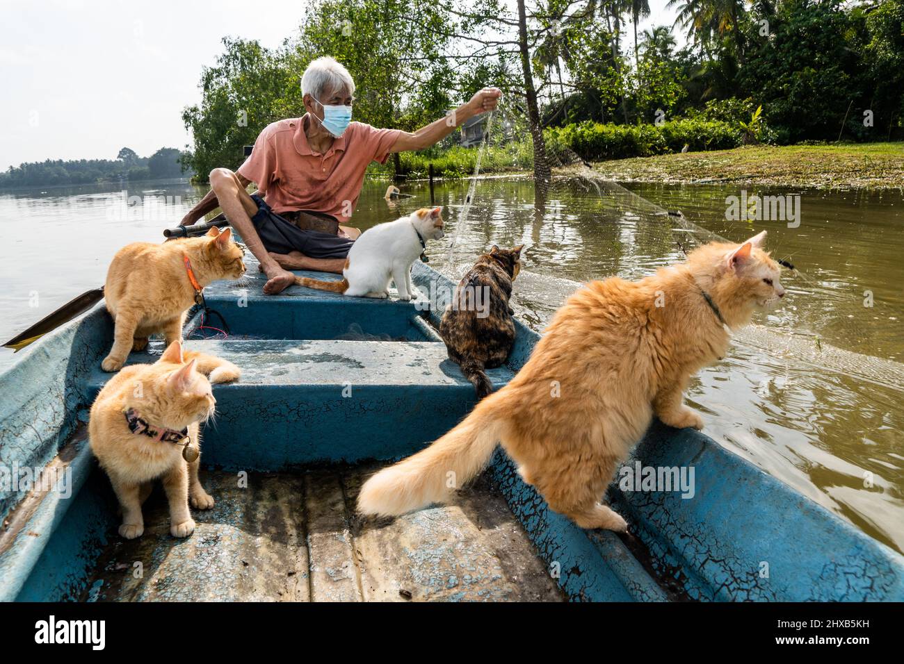 Surat Thani, Tailandia. 12th Mar 2022. Un pescatore ed i suoi gatti di salvataggio ispezionano le reti da pesca al fiume TAPI a Surat Thani. A Surat Thani, Thailandia, un pescatore locale prende i suoi gatti di salvataggio che pescano nelle mangrovie lungo il fiume TAPI. Credit: SOPA Images Limited/Alamy Live News Foto Stock