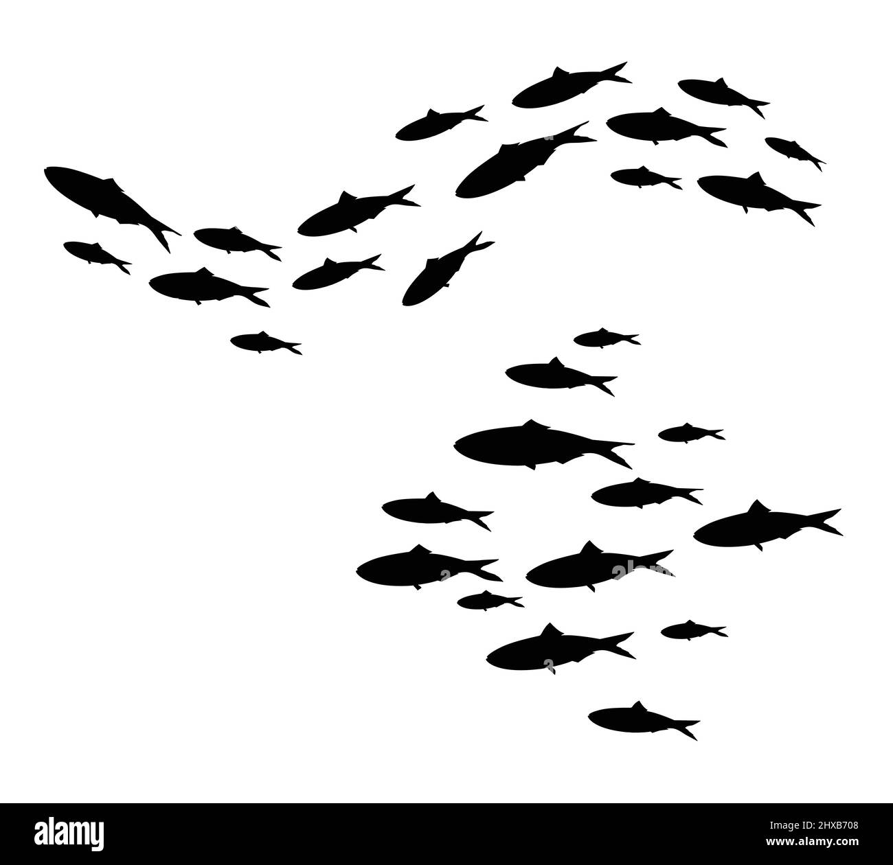 Scuola di pesce. Silhouette di gruppo di pesci di mare. Colonia di piccoli pesci. Vettore Illustrazione Vettoriale