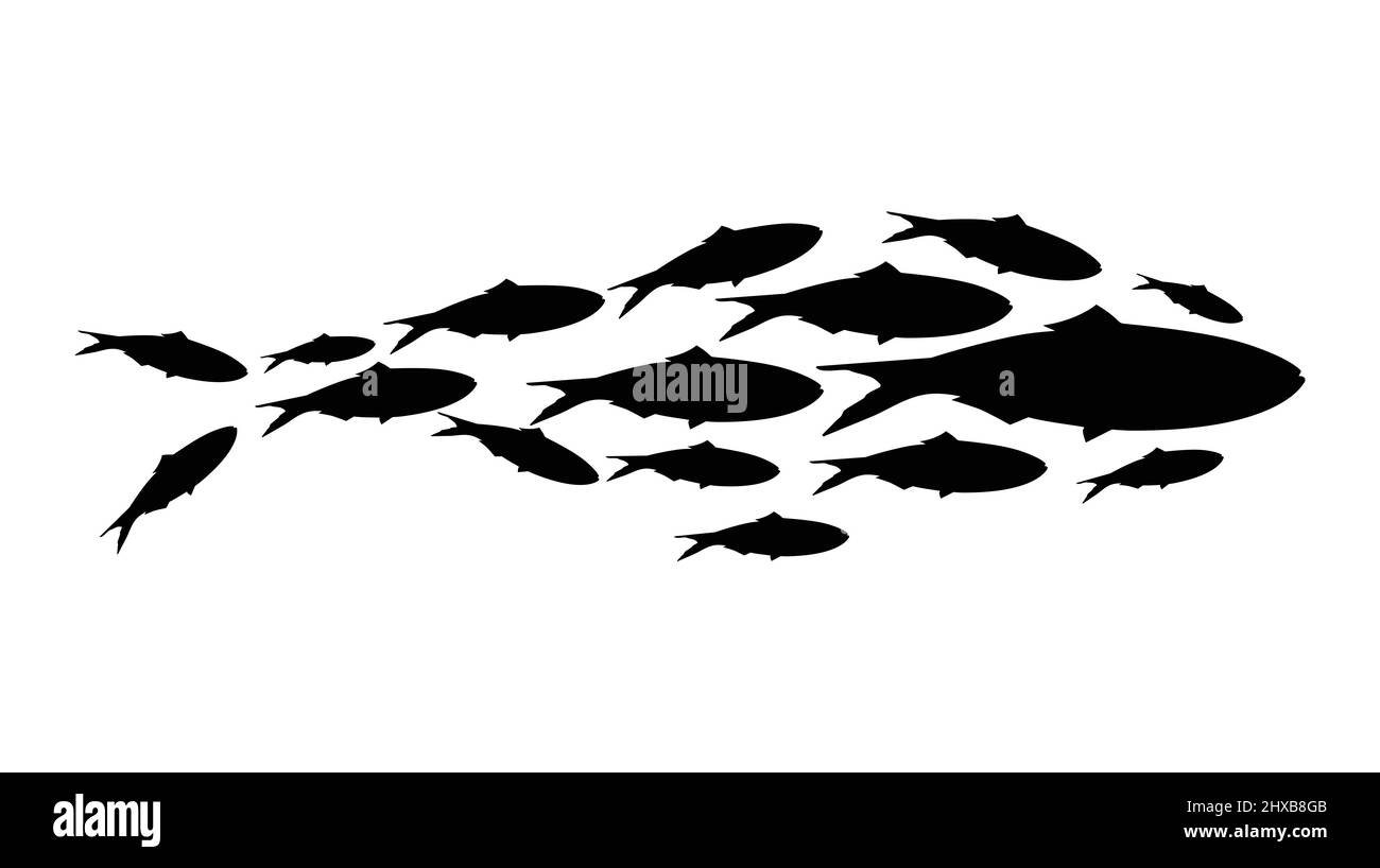 Scuola di pesce. Silhouette di gruppo di pesci di mare. Colonia di piccoli pesci, silhouette di pesci. Vettore Illustrazione Vettoriale