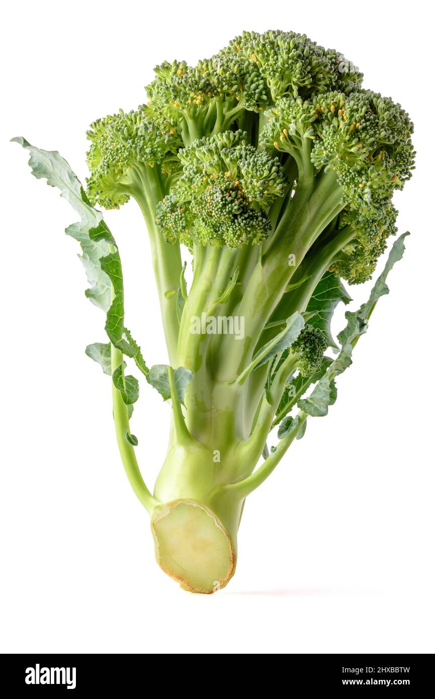 broccoli freschi, benefici nutrizionali vegetale verde commestibile isolato su sfondo bianco, primo piano Foto Stock