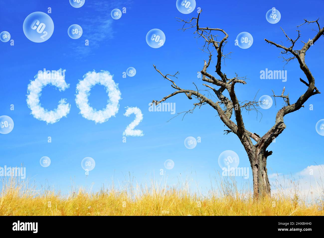 Albero morto e bolle di CO2. Riscaldamento globale o cambiamento climatico concetto. Problemi ambientali. Anidride carbonica crescente nell'atmosfera. Foto Stock