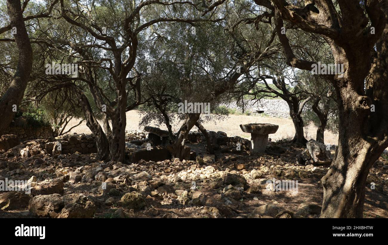 Questa foto è stata scattata a Torrellafuda, settlemen talayotico, Minorca, Isole Baleari, Spagna. Foto Stock