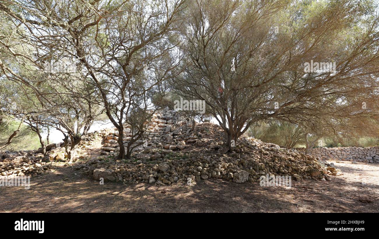 Questa foto è stata scattata a Torrellafuda, settlemen talayotico, Minorca, Isole Baleari, Spagna. Foto Stock