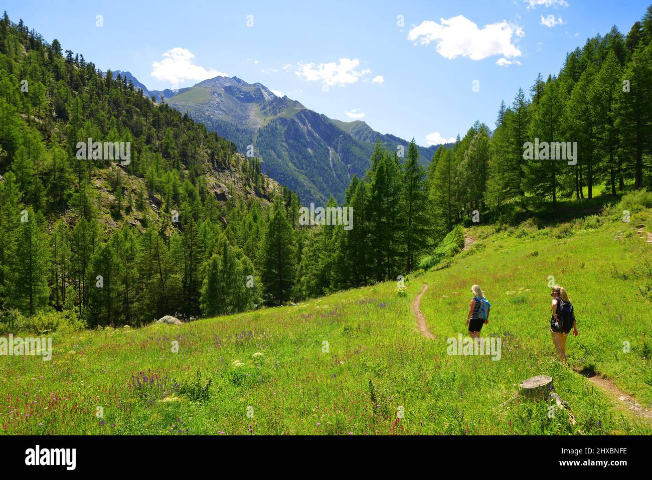 Escursionisti nel Parco Nazionale del Gran Paradiso. Valle d'Aosta, Italia. Bel paesaggio di montagna in giornata di sole. Foto Stock