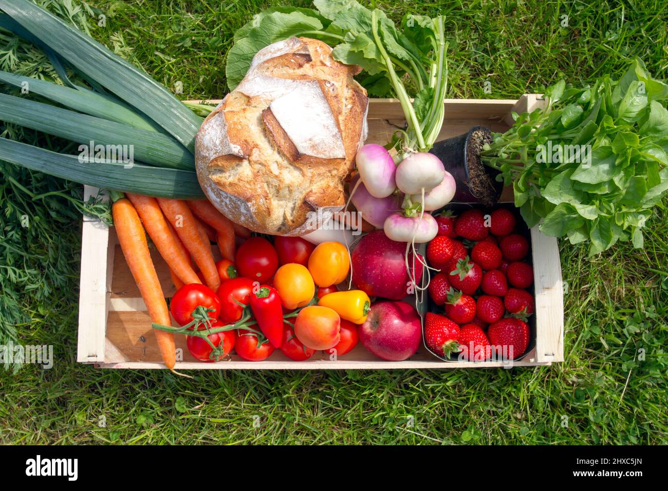 scatola di verdure fresche Foto Stock