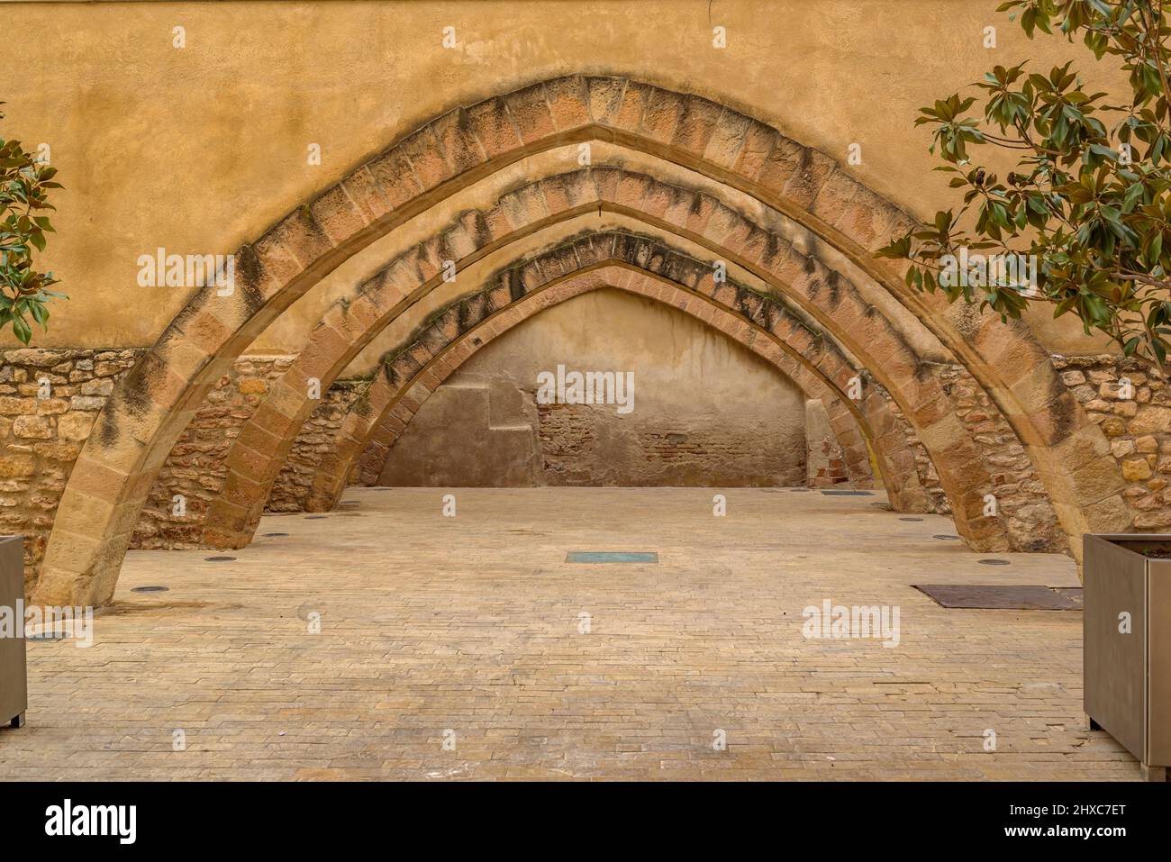 Archi dell'inverno di Paborde in Valls (Tarragona, Catalogna, Spagna) ESP: Arcos de la bodega del Paborde de de Valls (Tarragona, Cataluña, España) Foto Stock