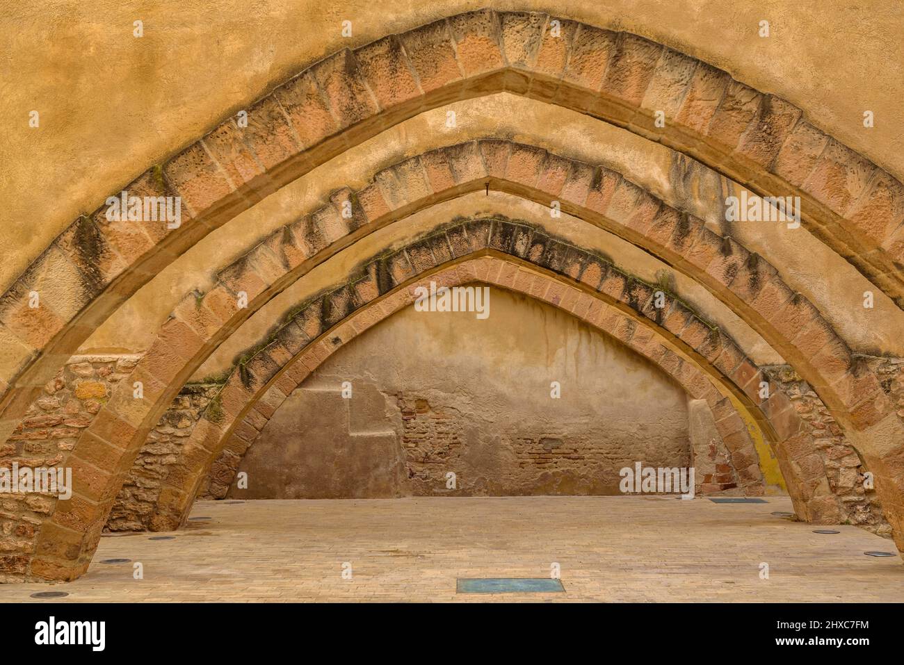 Archi dell'inverno di Paborde in Valls (Tarragona, Catalogna, Spagna) ESP: Arcos de la bodega del Paborde de de Valls (Tarragona, Cataluña, España) Foto Stock