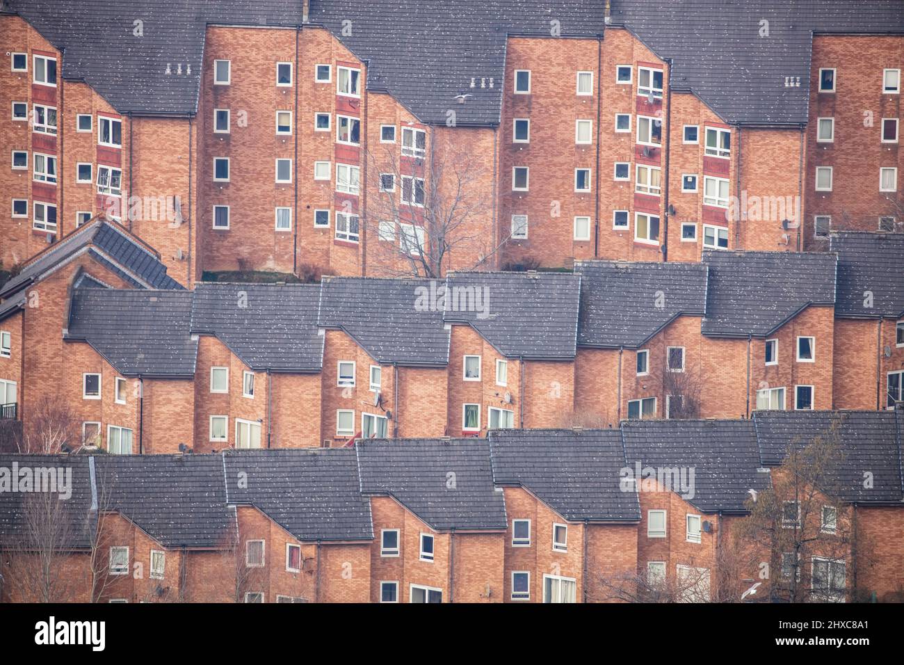 Tower Blocks, Edimburgo Foto Stock