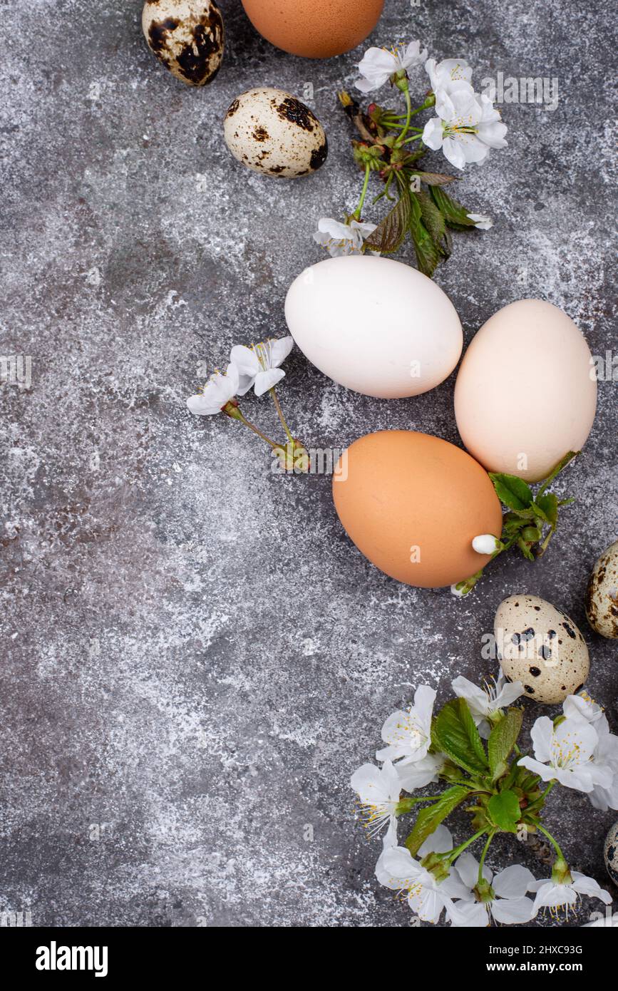 Concetto di Pasqua. Uova di pollo e quaglia. Foto Stock