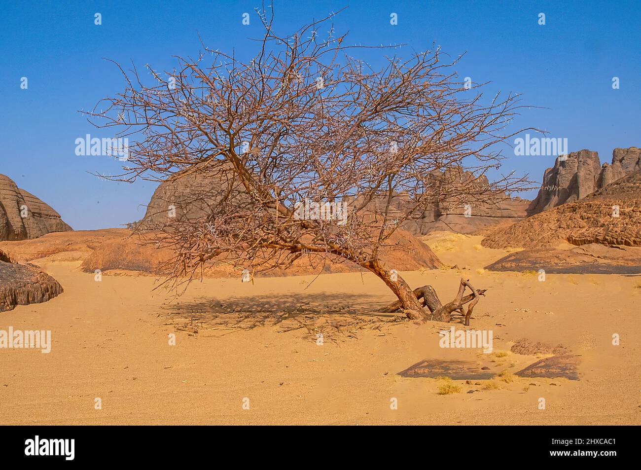 Aride rocce di hoggar nel deserto del Sahara Foto Stock