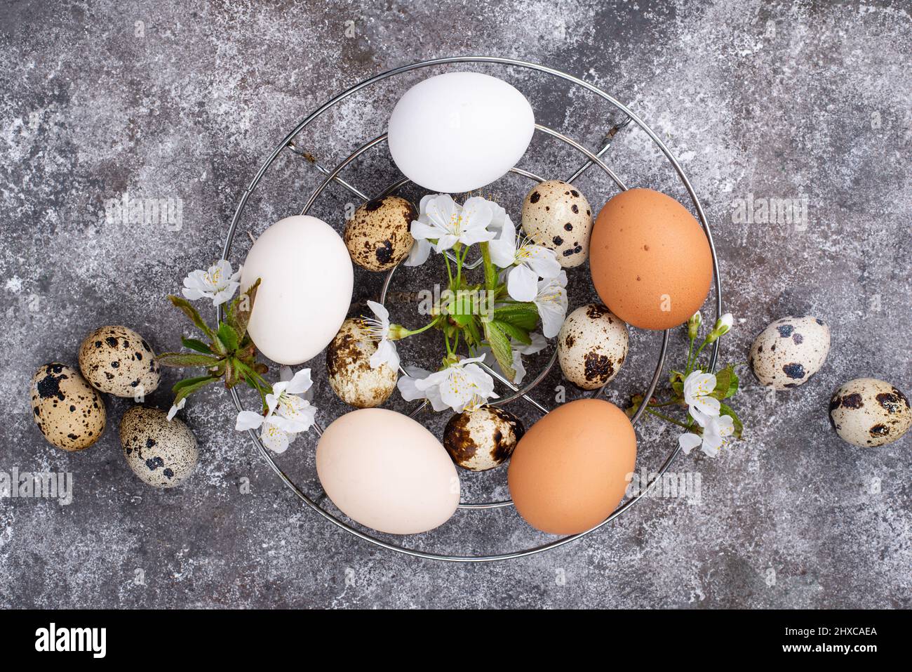 Concetto di Pasqua. Uova di pollo e quaglia. Foto Stock
