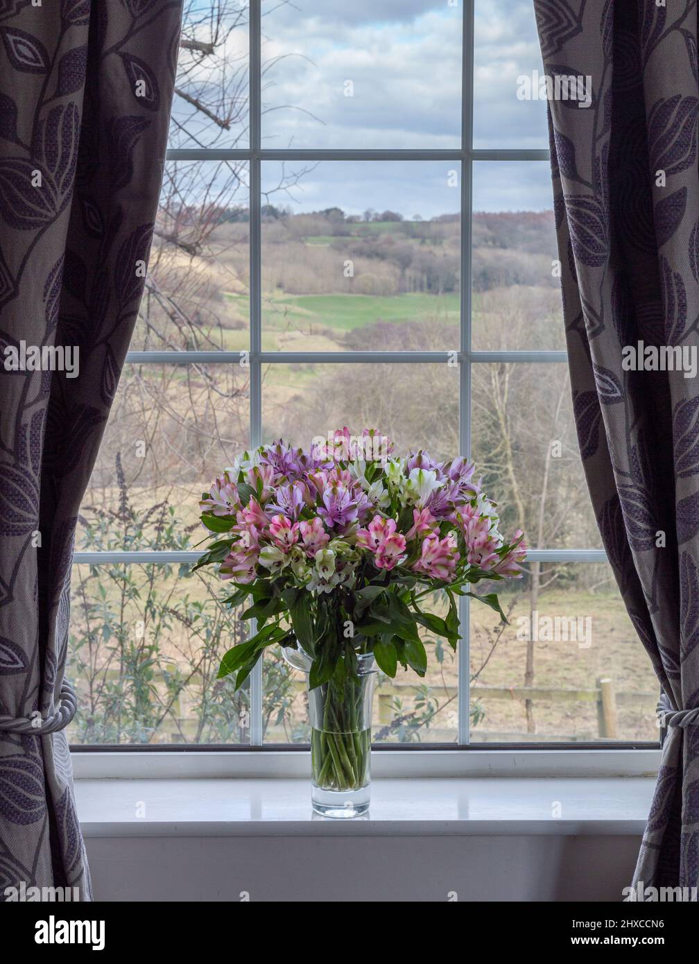 Un grande vaso di alstroemerias su una davanzale della finestra. Attraverso la finestra ci sono viste lunghe e distanti. Foto Stock