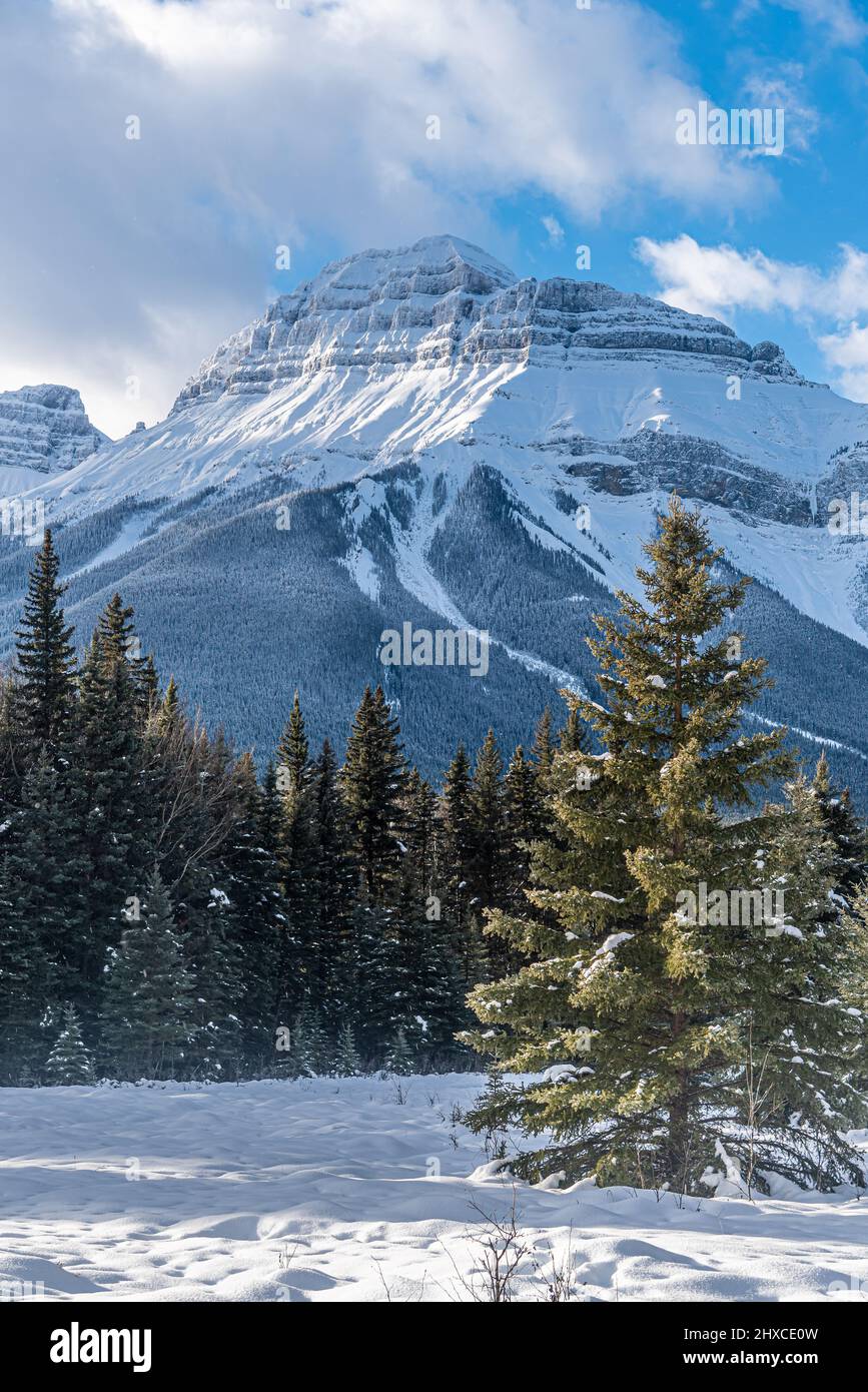 Vista di Banff Park lungo la Bow Valley Parkway in inverno Foto Stock