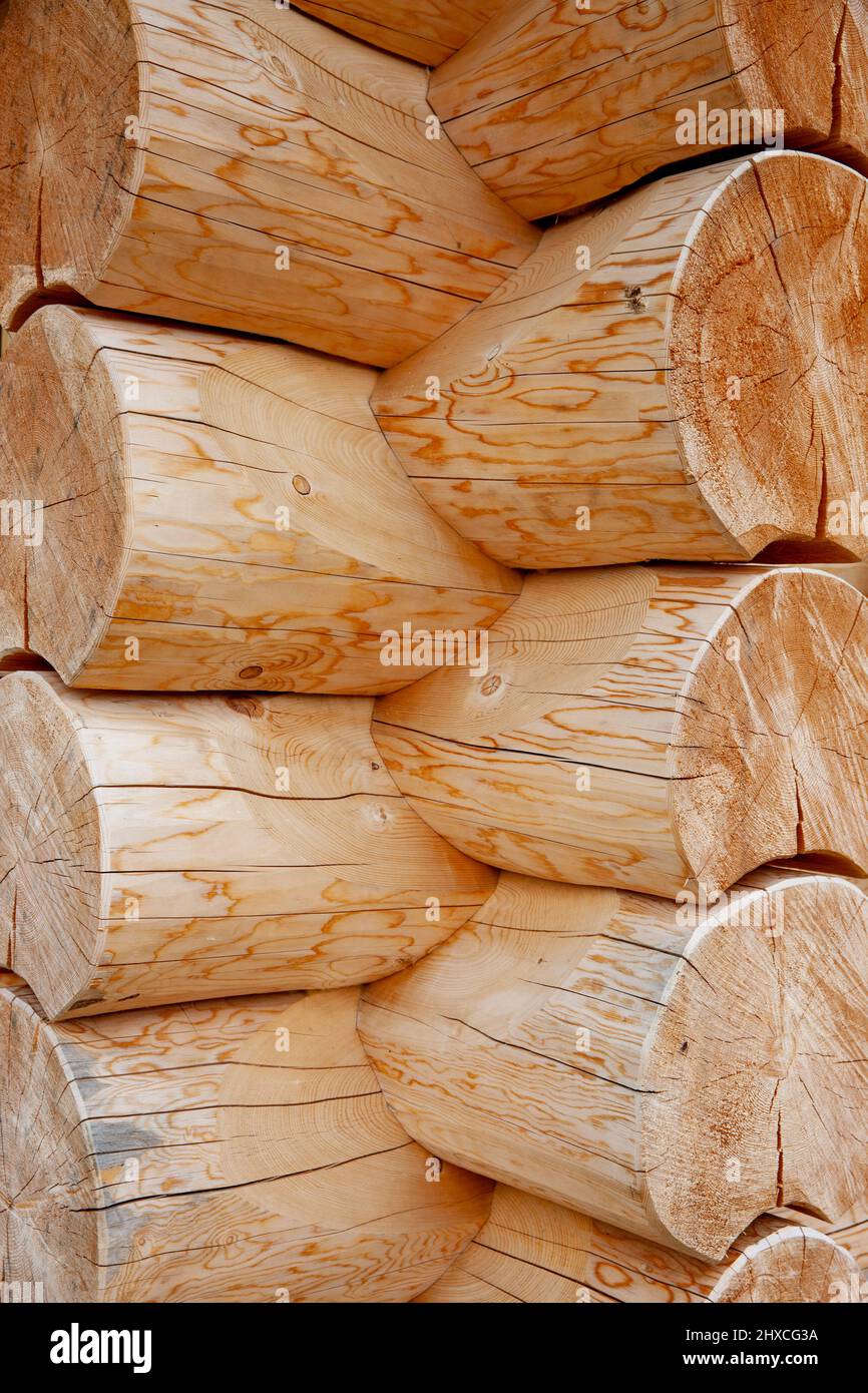 Interblocchi di tronchi rotondi su una casa di tronchi Foto Stock