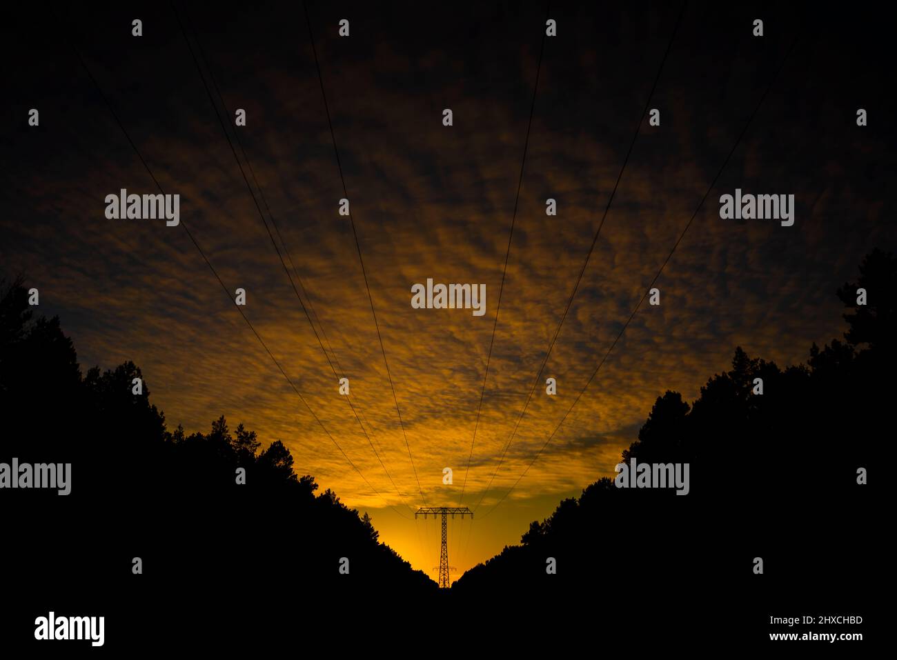 Tramonto tra due foreste, poli di potenza e linee elettriche nel mezzo Foto Stock