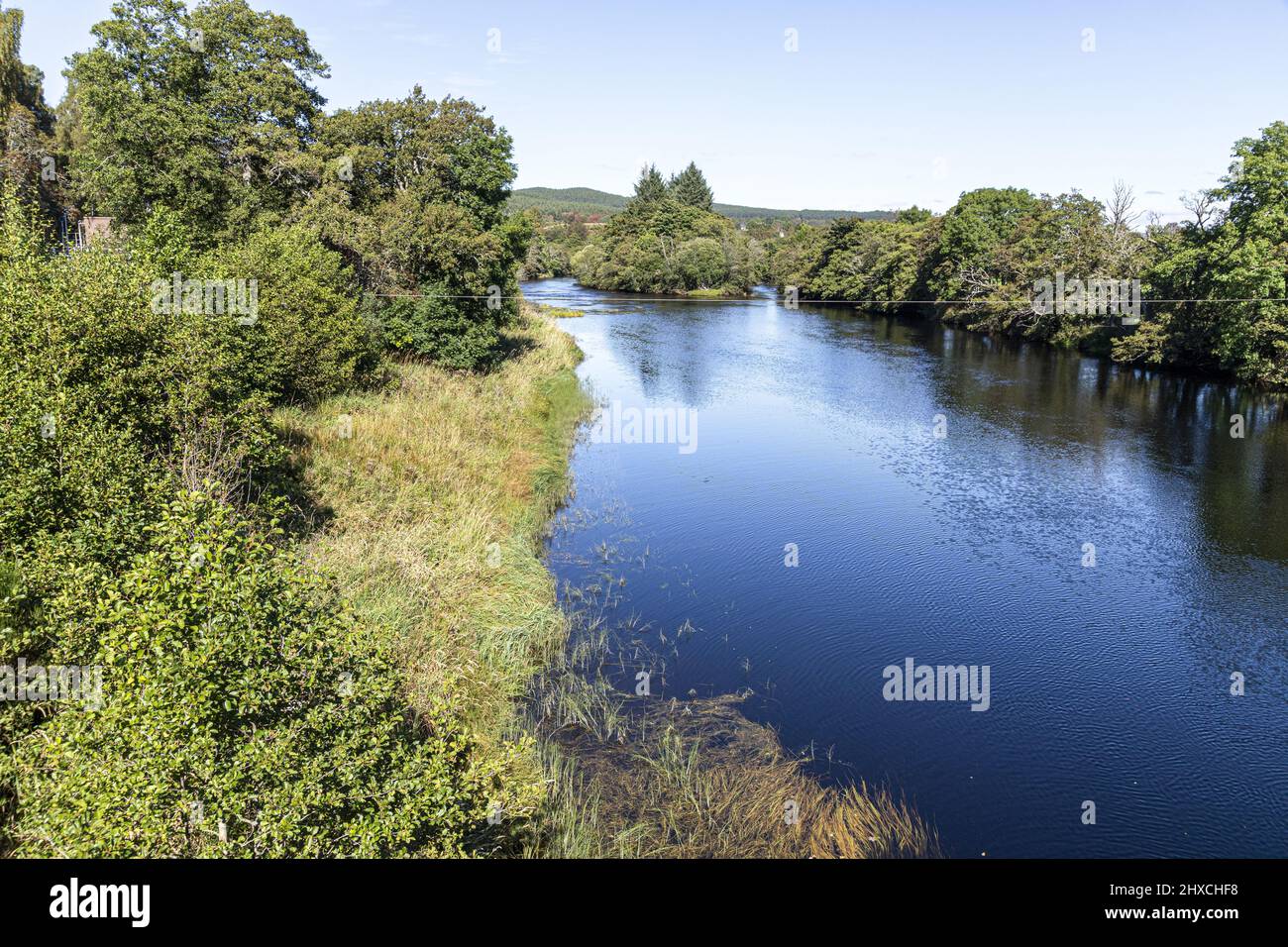 Il famoso fiume Spey a Boat of Garten Highland, Scozia Regno Unito. Foto Stock