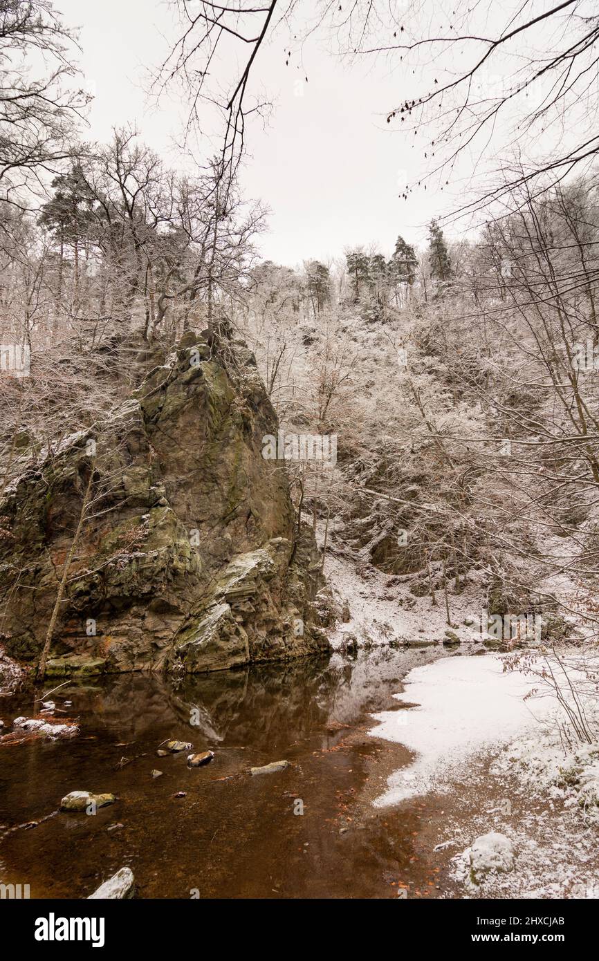 Freital, neve nella valle 'Rabenauer Grund', roccia nel fiume 'Rote Weißeritz', Monti Erzgebirge / ore, Sachsen, Sassonia, Germania Foto Stock