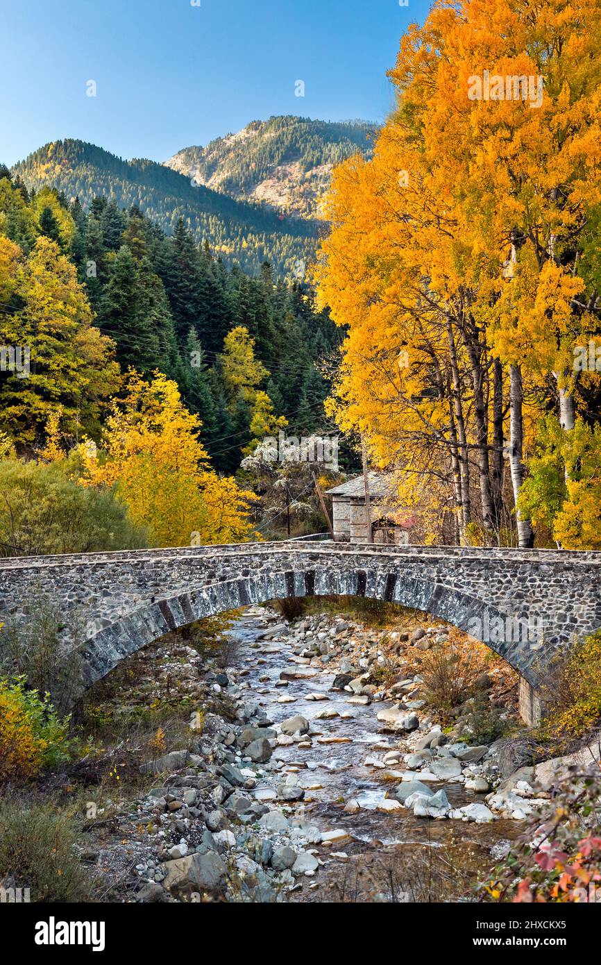 Il vecchio ponte Katouna in pietra nel villaggio di Krania, regione di Aspropotamos, Trikala, Tessaglia, Grecia. Foto Stock