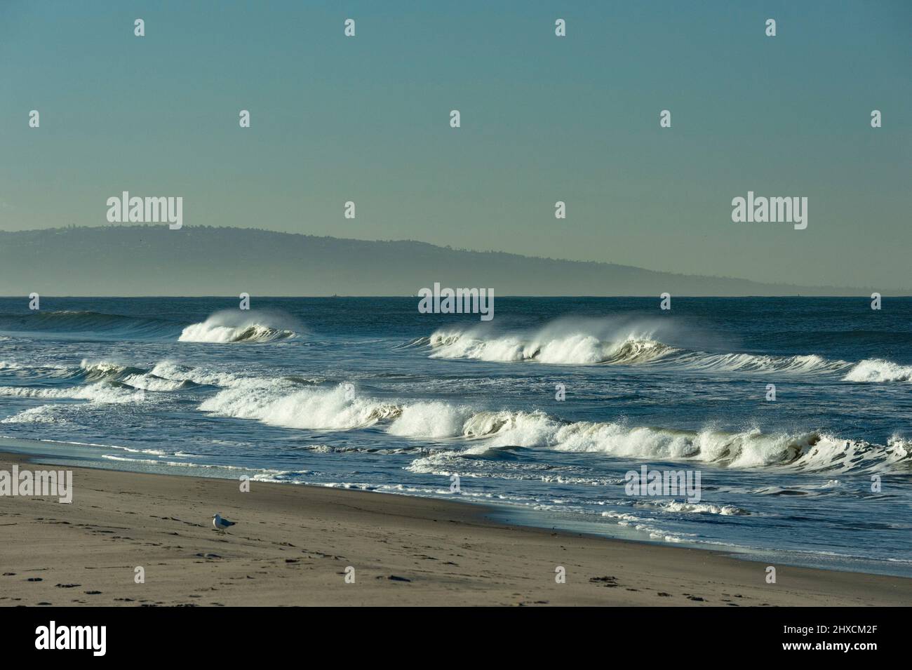 Onde che si infrangono sulla spiaggia dell'Oceano Pacifico, Santa Monica, California, USA Foto Stock