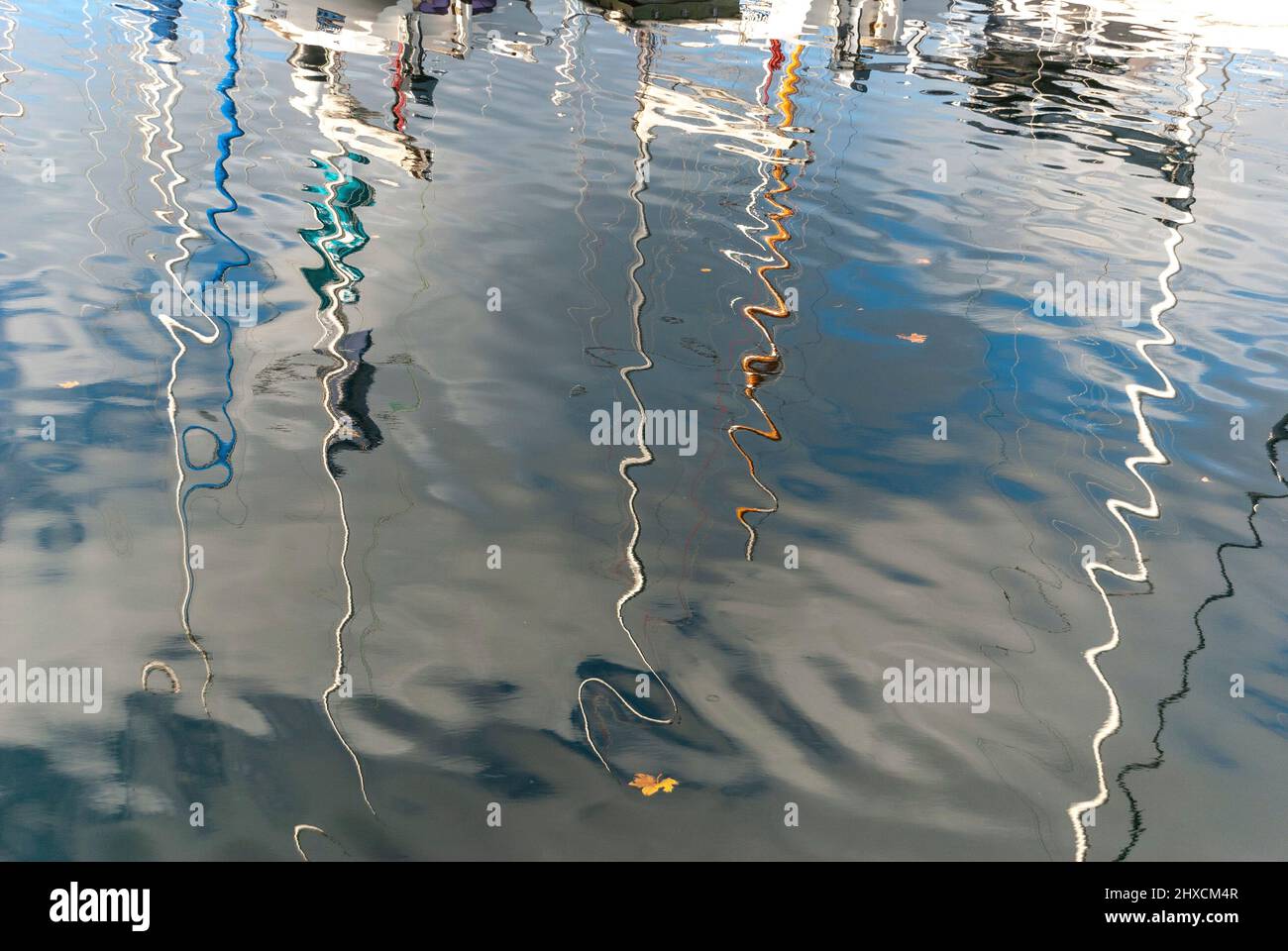 Riflessione di alberi in acqua, porto di Halifax, Nuova Scozia, Canada Foto Stock