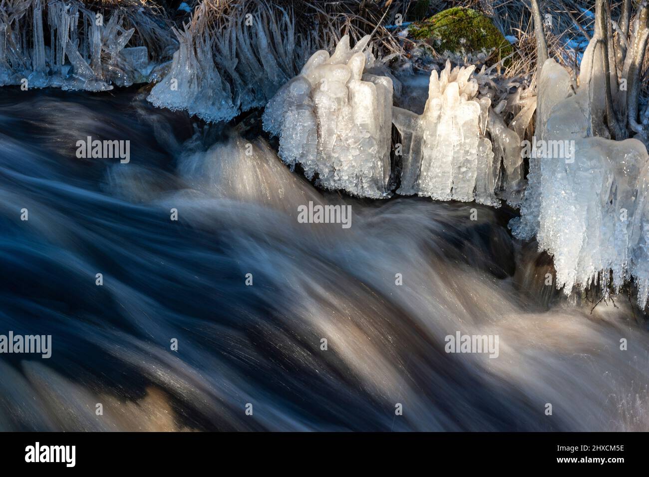 Flusso veloce e cristalli di ghiaccio sulla banca, Torup, Halland, Svezia Foto Stock