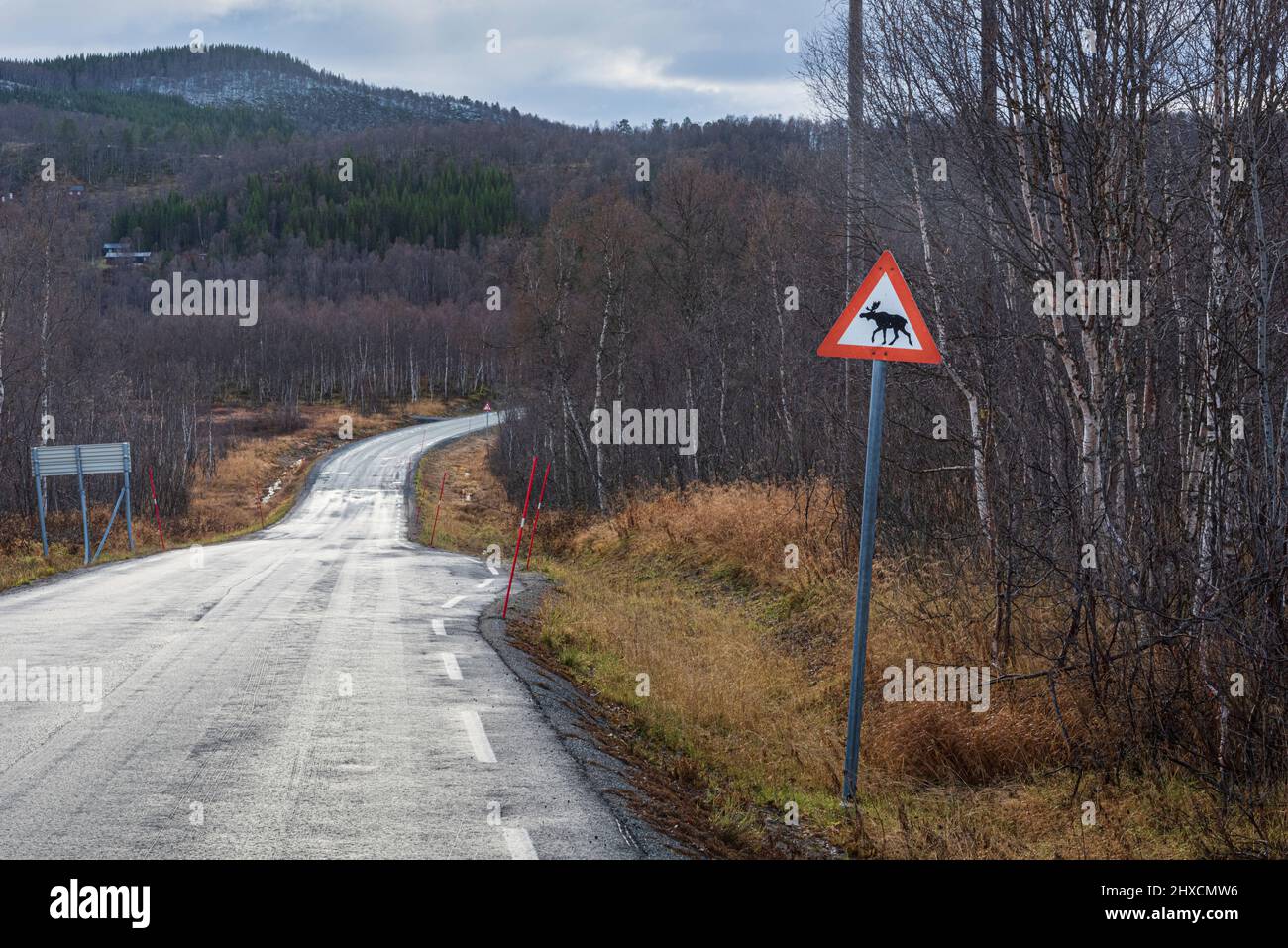 Viaggia attraverso il bellissimo Parco Nazionale Andardalen (Andardalen nasjonalpark), fondato nel 1970 per preservare e proteggere il paesaggio costiero praticamente intatto dell'isola con le sue foreste di pini e betulla, montagne, fiordi, fauna selvatica e patrimonio culturale, cartello stradale 'ELCH'. Foto Stock