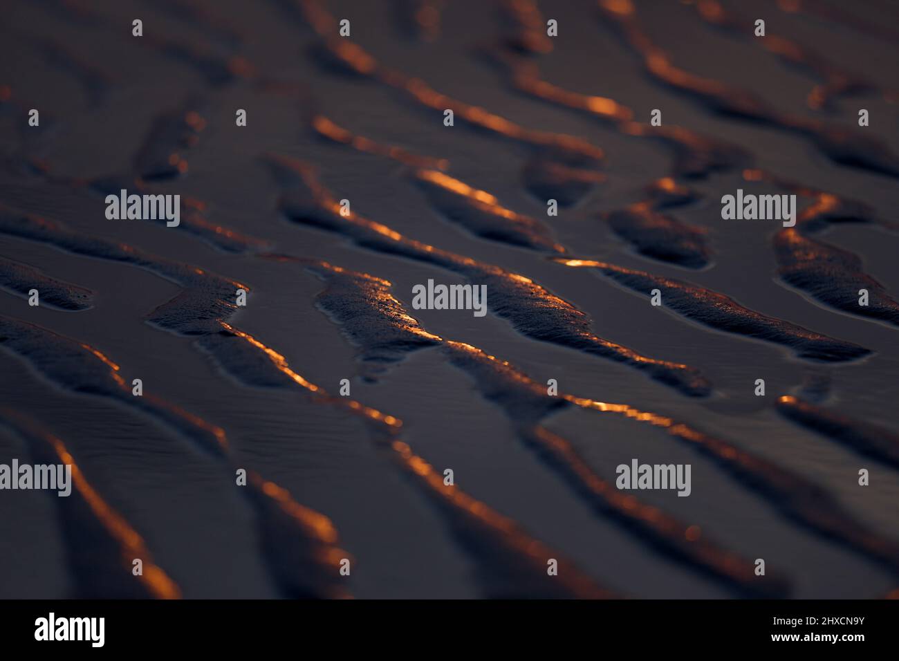 Europa, Germania, bassa Sassonia, Otterndorf. Tramonto nel Parco Nazionale del Mare di Wadden. Foto Stock