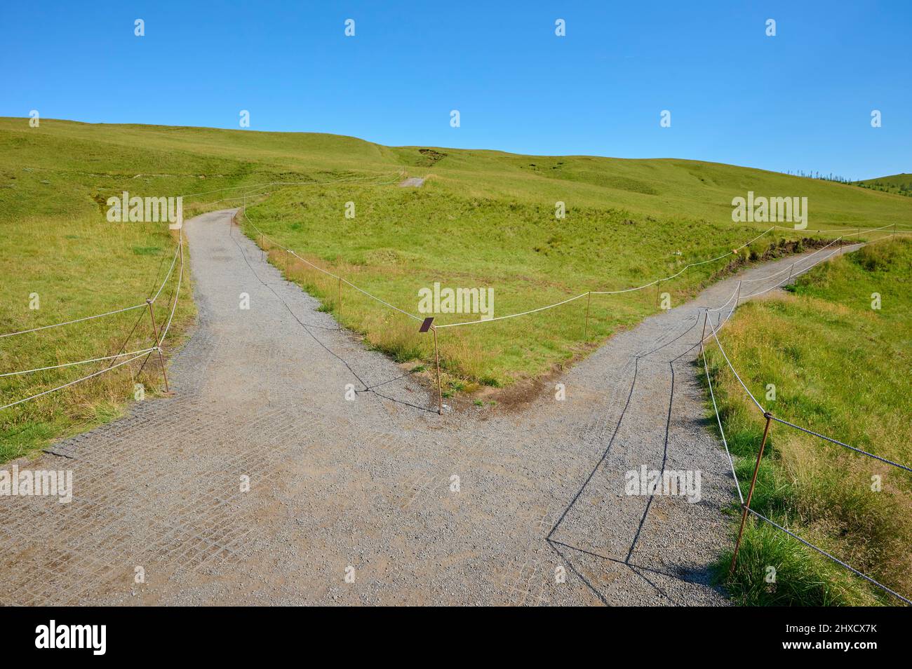 Sentiero, biforcazione in strada, estate, canyon Fjadrargljufur, Kirkjubaejarklaustur, SuÃ°urnes, Sudurland, Islanda Foto Stock