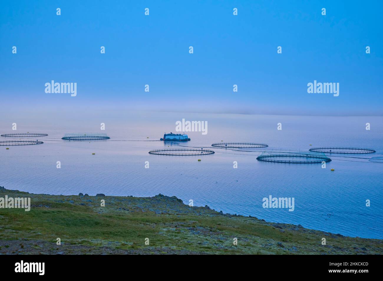 Aquakultur, Fischzucht, Meer, Wolken, Fjord, Sommer, Isola Foto Stock