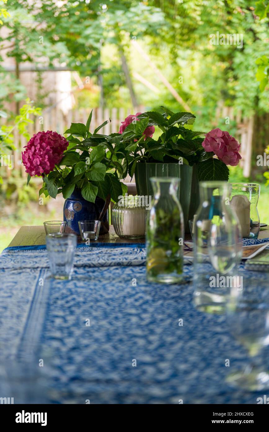 Vita di campagna, set da tavola, estate Foto Stock