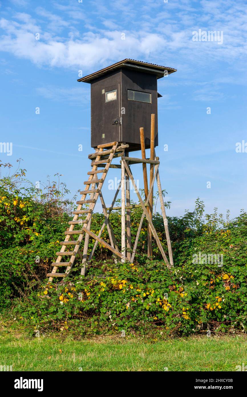 Ansitz, seduta alta, con pulpito chiuso. Foto Stock