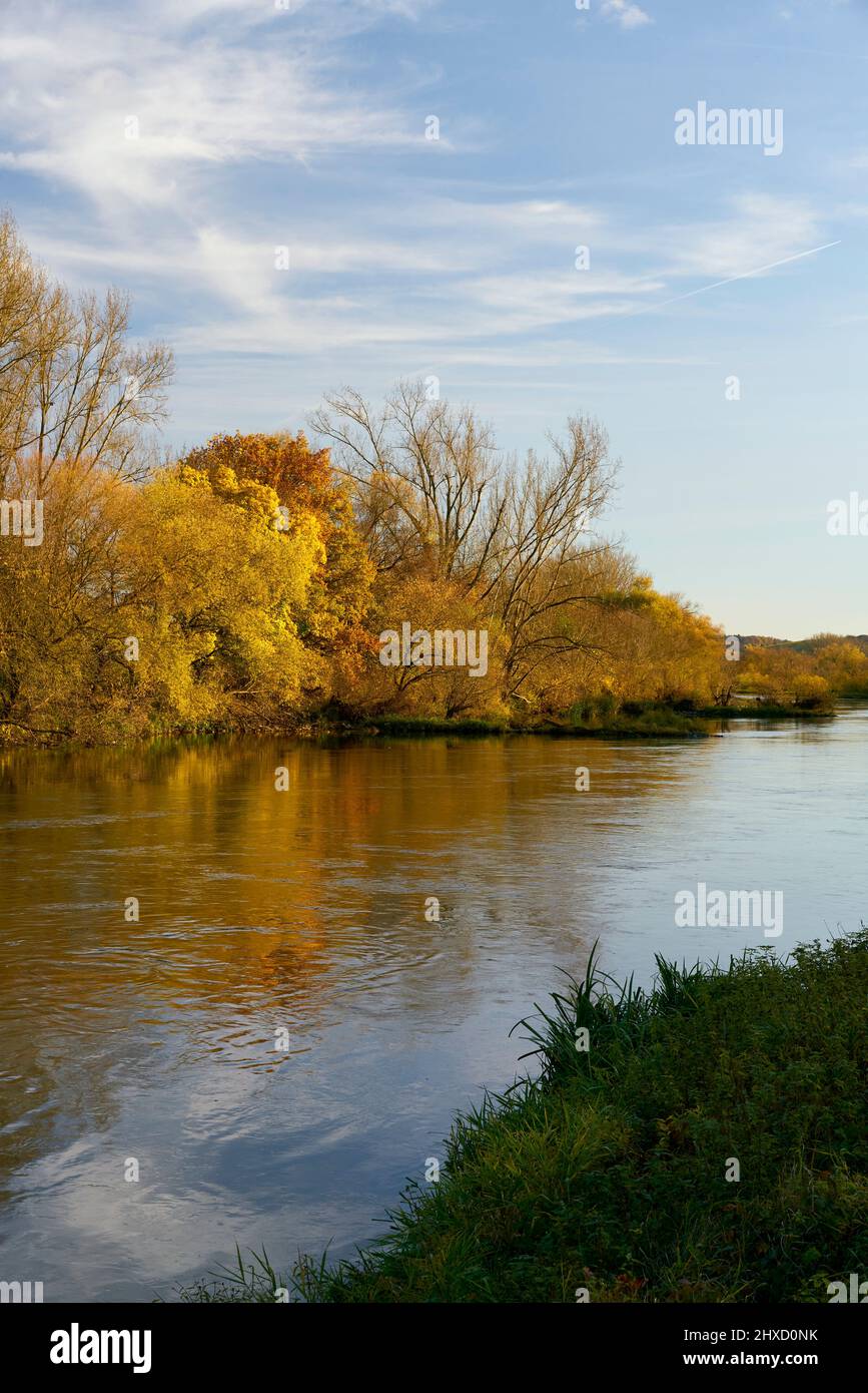 Il fiume meno vicino a Köhler al Volkacher Mainschleife, città di Volkach, distretto di Kitzingen, bassa Franconia, Baviera, Germania Foto Stock