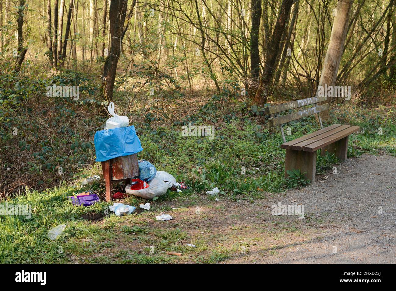 Bidone di rifiuti in eccesso e panca in una riserva naturale, Bergkamen, Renania settentrionale-Vestfalia, Germania Foto Stock