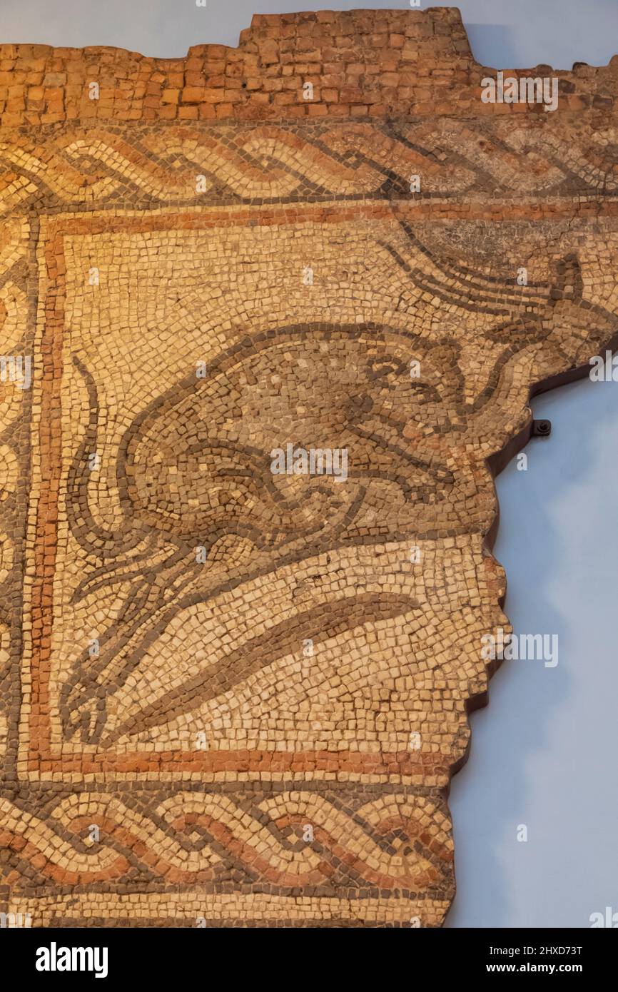 Inghilterra, Dorset, Dorchester, Dorset Museum, esposizione del leopardo e Gazelle Mosaic da Dewlish Villa romana datata 4th secolo CE Foto Stock