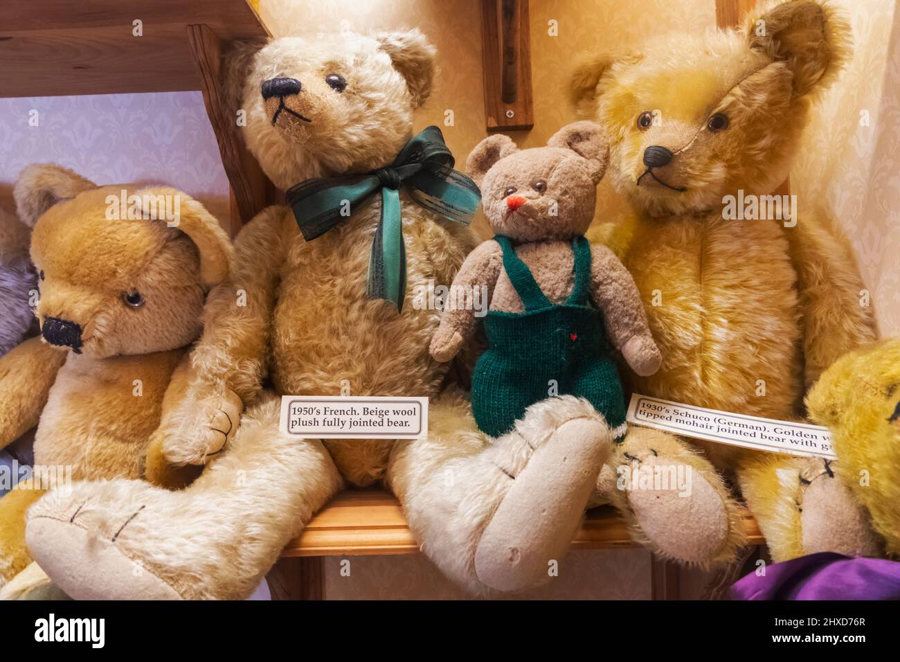 Inghilterra, Dorset, Dorchester, il Teddy Bear Museum, mostra di orsi Teddy continentali d'epoca Foto Stock